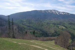 Zawoja - Mosorny Groń Zawoja Ski Widok na stok