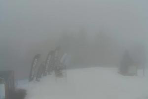 Krynica Jaworzyna Krynicka Widok na szczyt Jaworzyny (1114 m n.p.m)