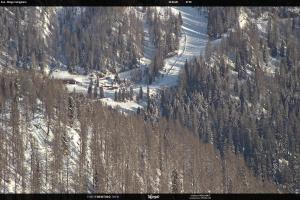 San Martino di Castrozza - Passo Rolle San Martino di Castrozza - Passo Rolle Ces - Malga Valcigolera