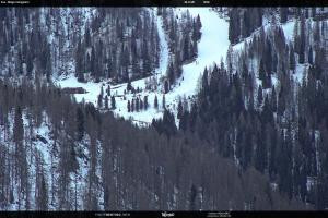 San Martino di Castrozza - Passo Rolle San Martino di Castrozza - Passo Rolle Ces - Malga Valcigolera