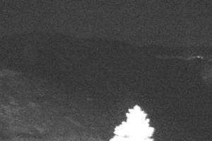 Kamera: Jasna - Chopok Predné Dereše - 1.646 m n. m. Jasna Jasna - Chopok Predné Dereše - 1.646 m n. m.