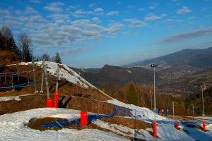 Szczawnica Palenica Szafranówka