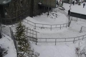 Kamera: Kasprowy Wierch Kolej na Kasprowy Wierch Zakopane Kasprowy Wierch Kolej na Kasprowy Wierch