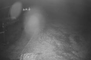 Kamera: Gromadzyń Widok z dołu Ustrzyki Dolne Gromadzyń Widok z dołu