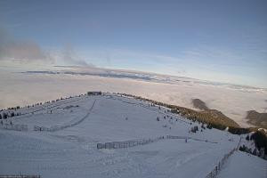 Kamera: Koralpe Steinschneider Koralpe Koralpe Steinschneider