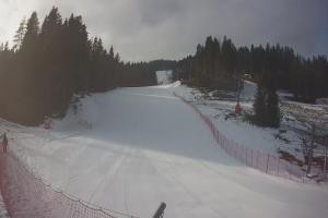 Kamera: Tylicz Ski Widok na stok Tylicz Tylicz Ski Widok na stok