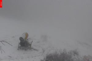 Kamera: Černá hora (Czarna Góra) Hofmanky, 1050 m n.p.m. Černá hora Černá hora (Czarna Góra) Hofmanky, 1050 m n.p.m.