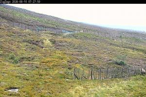 Kamera: Cairgorm Zigzags Webcam Cairgorm Cairgorm Zigzags Webcam