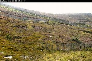 Kamera: Cairgorm Zigzags Webcam Cairgorm Cairgorm Zigzags Webcam