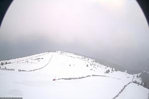 Kamera: Koralpe Steinschneider Koralpe Koralpe Steinschneider