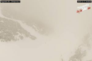 Kamera: Andalo - Paganella Pista Olimpionica Andalo - Paganella Andalo - Paganella Pista Olimpionica