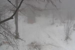 Kamera: Magura Małastowska Widok na stok Gorlice-Małastów Magura Małastowska Widok na stok