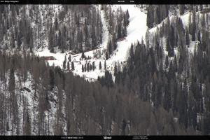 San Martino di Castrozza - Passo Rolle San Martino di Castrozza - Passo Rolle Ces - Malga Valcigolera
