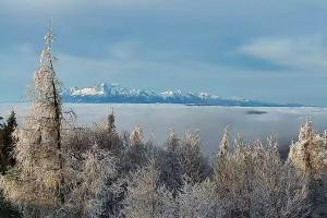 Kamera: Jaworzyna Krynicka Widok na szczyt Jaworzyny (1114 m n.p.m) Krynica Jaworzyna Krynicka Widok na szczyt Jaworzyny (1114 m n.p.m)