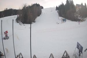 Ustrzyki Dolne Gromadzyń Dolna Stacja