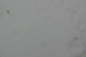 Tatrzańska Łomnica Wysokie Tatry Lomnický štít — 2.634 m n.p.m.