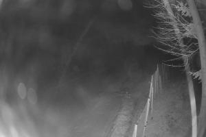 Wierchomla-Muszyna Dwie Doliny Szałas