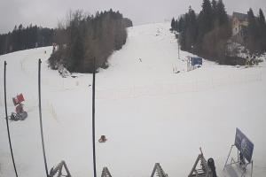 Ustrzyki Dolne Gromadzyń Dolna Stacja