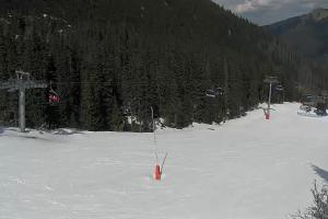 Zverovka Tatrawest s.r.o. Livecam