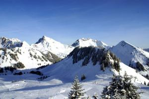 Praz de Lys Sommand Praz de Lys Sommand Livecam