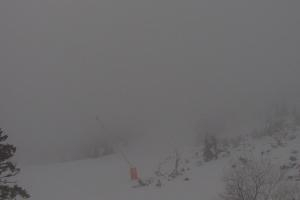 Kamera: Jasna - Chopok Predné Dereše - 1.646 m n. m. Jasna Jasna - Chopok Predné Dereše - 1.646 m n. m.