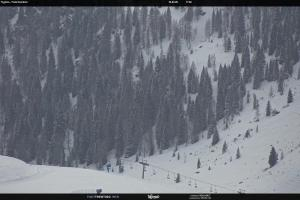 S. Martino di Castrozza / Passo Rolle S. Martino di Castrozza / Passo Rolle Tognola - Pista Scandola