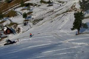 Szczawnica Palenica Szafranówka