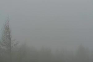 Kamera: Jaworzyna Krynicka Widok na szczyt Jaworzyny (1114 m n.p.m) Krynica Jaworzyna Krynicka Widok na szczyt Jaworzyny (1114 m n.p.m)