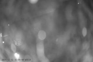 Kamera: Szelment WOSiR Wyciąg Szelment Szelment WOSiR Wyciąg