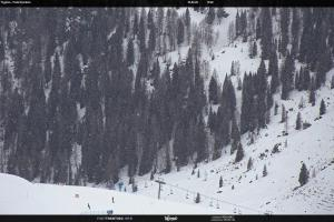 S. Martino di Castrozza / Passo Rolle S. Martino di Castrozza / Passo Rolle Tognola - Pista Scandola