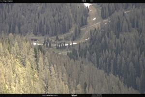 San Martino di Castrozza - Passo Rolle San Martino di Castrozza - Passo Rolle Ces - Malga Valcigolera