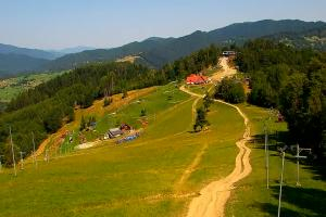 Kamera: Palenica Szafranówka Szczawnica Palenica Szafranówka