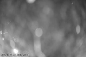 Kamera: Szelment WOSiR Wyciąg Szelment Szelment WOSiR Wyciąg