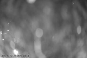 Kamera: Szelment WOSiR Wyciąg Szelment Szelment WOSiR Wyciąg