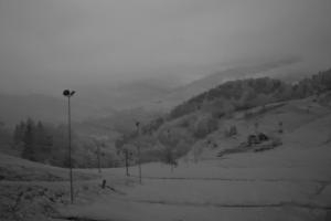 Szczawnica Palenica Szafranówka
