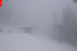 Kamera: Černý Důl Černý Důl Černý Důl Černý Důl Černý Důl