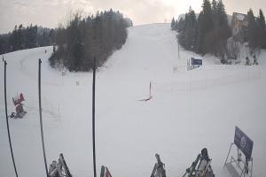 Ustrzyki Dolne Gromadzyń Dolna Stacja