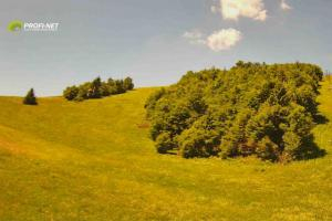 Kamera: Park Snow Patociny - 1136 m n.p.m. Donovaly Park Snow Patociny - 1136 m n.p.m.
