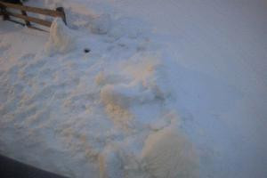 Rodelbahn Rodelbahn - Katschberg 