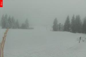 Kamera: Malá Úpa Kamera U Kostela, 1 040 m n.p.m. Malá Úpa Malá Úpa Kamera U Kostela, 1 040 m n.p.m.