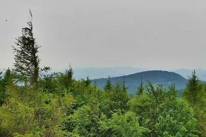 Kamera: Jaworzyna Krynicka Widok na szczyt Jaworzyny (1114 m n.p.m) Krynica Jaworzyna Krynicka Widok na szczyt Jaworzyny (1114 m n.p.m)