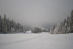 Wierchomla-Muszyna Dwie Doliny Wierchomla - górna stacja