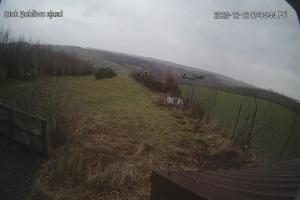 Kamera: Bobliwo Kamera na stoku Stok Roztocze Bobliwo Kamera na stoku