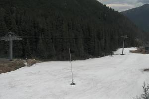 Zverovka Tatrawest s.r.o. Livecam