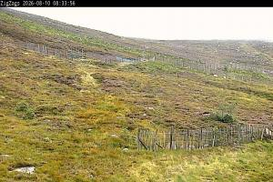 Kamera: Cairgorm Zigzags Webcam Cairgorm Cairgorm Zigzags Webcam