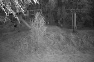 Kamera: Magura Małastowska Widok na stok Gorlice-Małastów Magura Małastowska Widok na stok