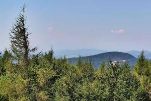 Kamera: Jaworzyna Krynicka Widok na szczyt Jaworzyny (1114 m n.p.m) Krynica Jaworzyna Krynicka Widok na szczyt Jaworzyny (1114 m n.p.m)