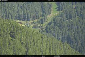 Kamera: San Martino di Castrozza - Passo Rolle Ces - Malga Valcigolera San Martino di Castrozza - Passo Rolle San Martino di Castrozza - Passo Rolle Ces - Malga Valcigolera