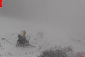 Kamera: Černá hora (Czarna Góra) Hofmanky, 1050 m n.p.m. Černá hora Černá hora (Czarna Góra) Hofmanky, 1050 m n.p.m.