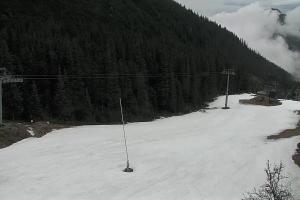 Zverovka Tatrawest s.r.o. Livecam